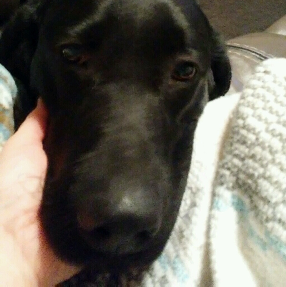 Meet your Posher, Sherrie